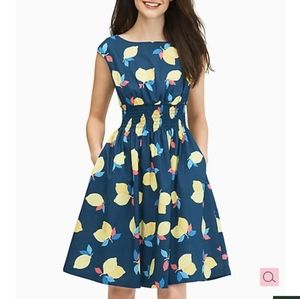 NWT Kate Spade Lemon Zest Blaire Dress Size 14
